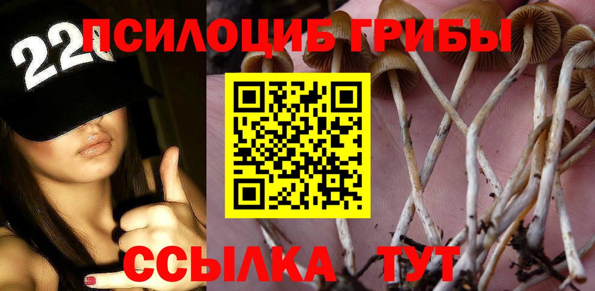 Псилоцибиновые грибы мицелий Касимов