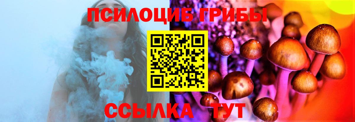 Касимов  Псилоцибиновые грибы мицелий  Вход с VPN  Псилоцибиновые грибы Psilocybe 